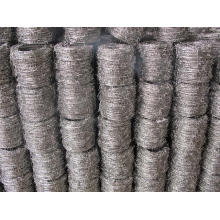 Electro Galvanized Iron Bared Wire in Good Quality